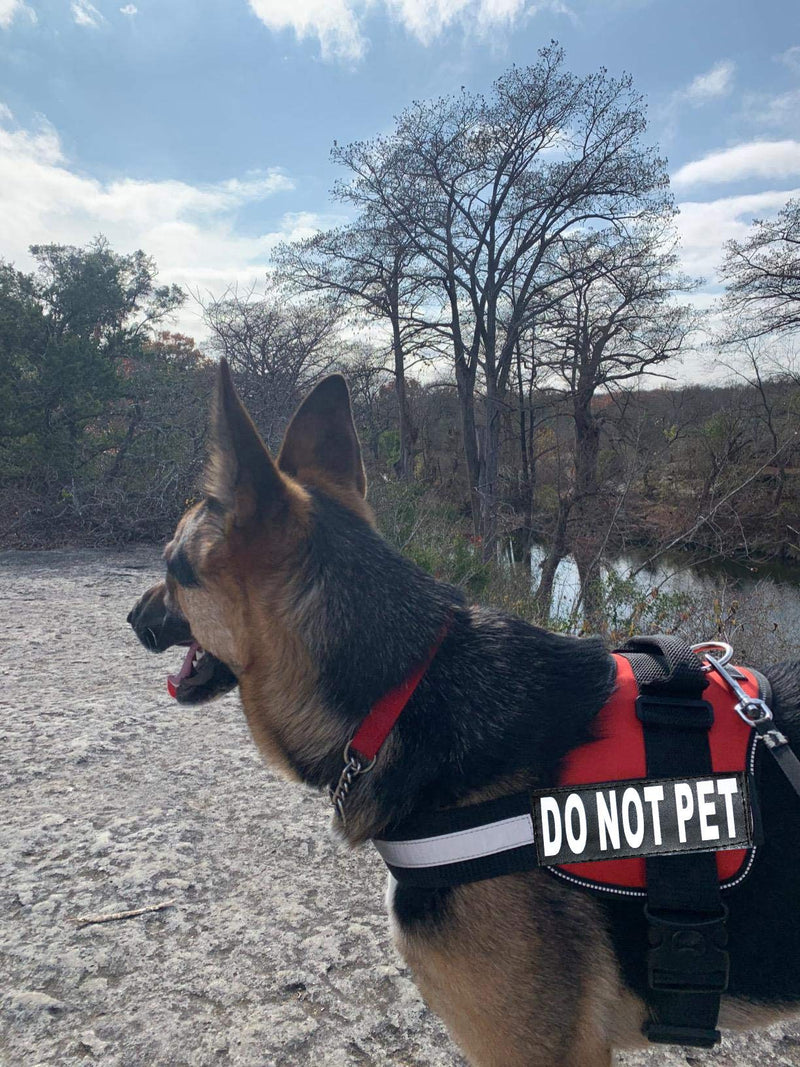 DO NOT PET Dog Vest Harness with Removable Patches and Reflective Trim. Comes with 2 DO NOT PET Reflective Removable Patches. Please Measure Dogs Girth Before Purchase Girth 24-31" Red - PawsPlanet Australia