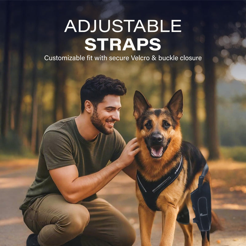 REBORN Dog Double Knee Brace for Torn ACL, CCL & Luxating Patella, Adjustable Back Leg Support & Recovery, Hind Leg Brace for Stability, Arthritis, Injury & Joint Pain Relief, Medium