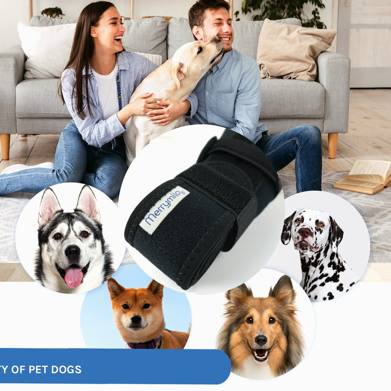 Dog Knee Brace for Hind & Rear Legs – Canine Leg Support – Adjustable, Durable, Black, Size M