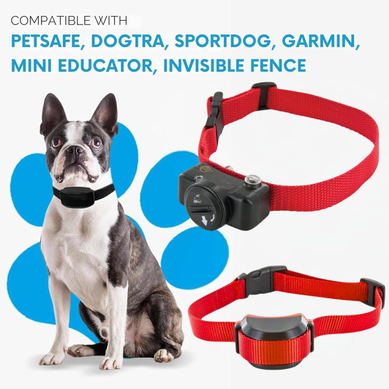 3/4" ECollar Replacement Strap, Shock Collar Replacement Collar, Compatible with Pet Safe, Invisible Fence (3/4" Pink) 3/4" - PawsPlanet Australia