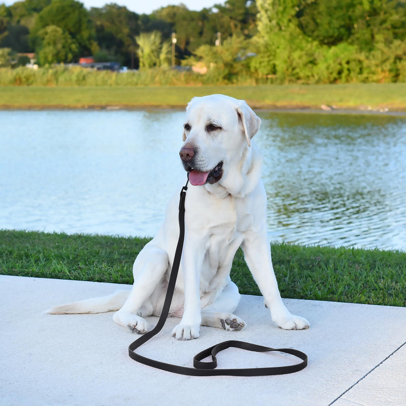 Dogline Biothane Waterproof Dog Leash Strong Coated Nylon Webbing with Black Hardware Odor-Proof Easy to Clean High Performance for Small or Large Dogs Made in USA 4 or 6 ft Lead, Black W1/2" x L6' - PawsPlanet Australia
