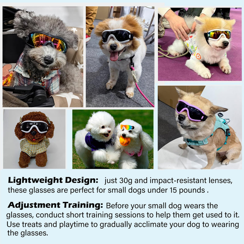Small Dog Sunglasses with Adjustable Strap UV Protection, Winproof Puppy Sunglasses, Suitable for Dogs Eyes Protection，Soft Dog Goggles whitetransparent-S - PawsPlanet Australia
