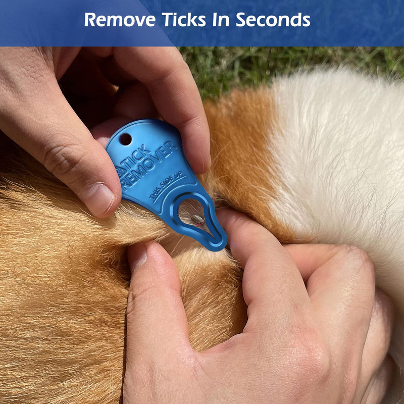 3 Pack Tick Remover Tool Portable, Tick Removal Tool for Pets, Humans and Animals, Safe and Portable, Pain-Free and Effective, Essential Tools for Outdoor Activities - PawsPlanet Australia