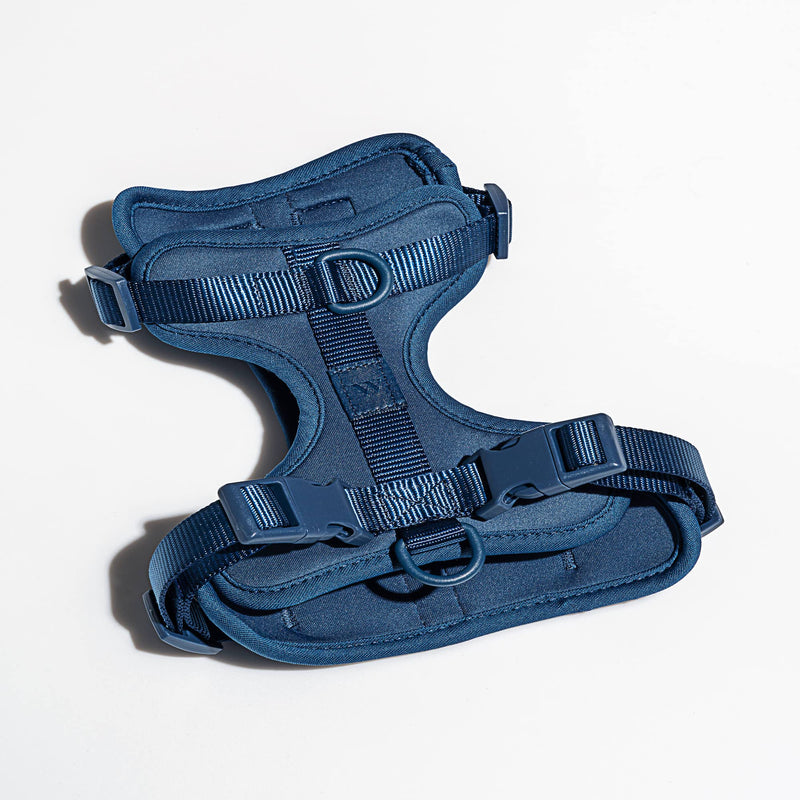 Wild One Harness 2.0 - Extra Small - Navy - PawsPlanet Australia