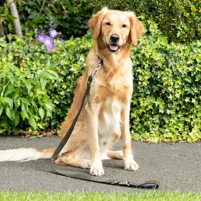 HUGO & HUDSON x HACKETT Tweed Dog Lead Padded Handle, Dark Green Checked Herringbone, 120 x 2.5cm M/L - PawsPlanet Australia