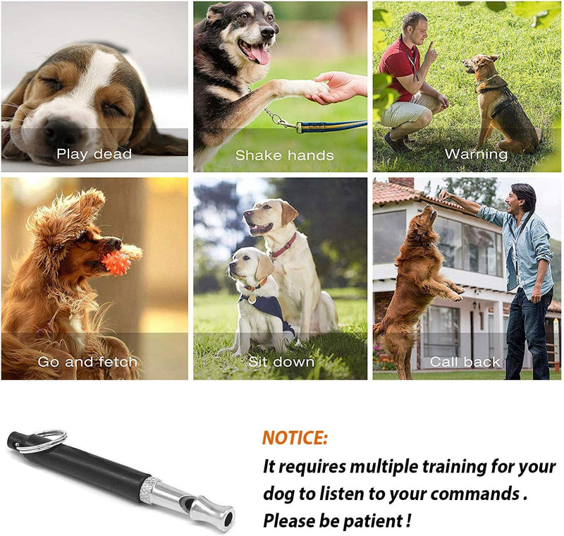 Dog Whistle to Stop Barking, Adjustable Ultrasonic Silent Bark Control for Dogs, Training Device with Lanyard Strap, Black - PawsPlanet Australia