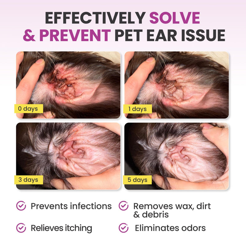 Pet Ear Cleaning Finger Wipes for Dogs & Cats - Dog Ear Cleaner with Aloe, Coconut Oil & Ginseng - Finger Dog Ear Wipes to Relieve Ear Itching, Infections, Wax & Smelly Ears - 50 Ct - Coconut Scent - PawsPlanet Australia