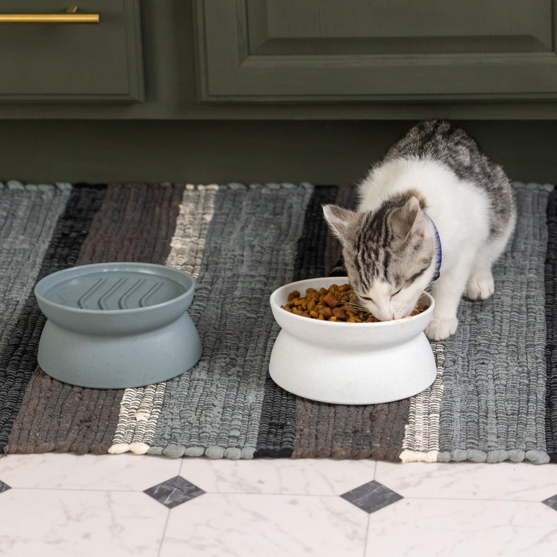 Kitty City Raised Cat Food Bowl Collection/Stress Free Pet Feeder and Waterer and Slow Feed Bowls 2 Bowls/Small Slow Feed - PawsPlanet Australia