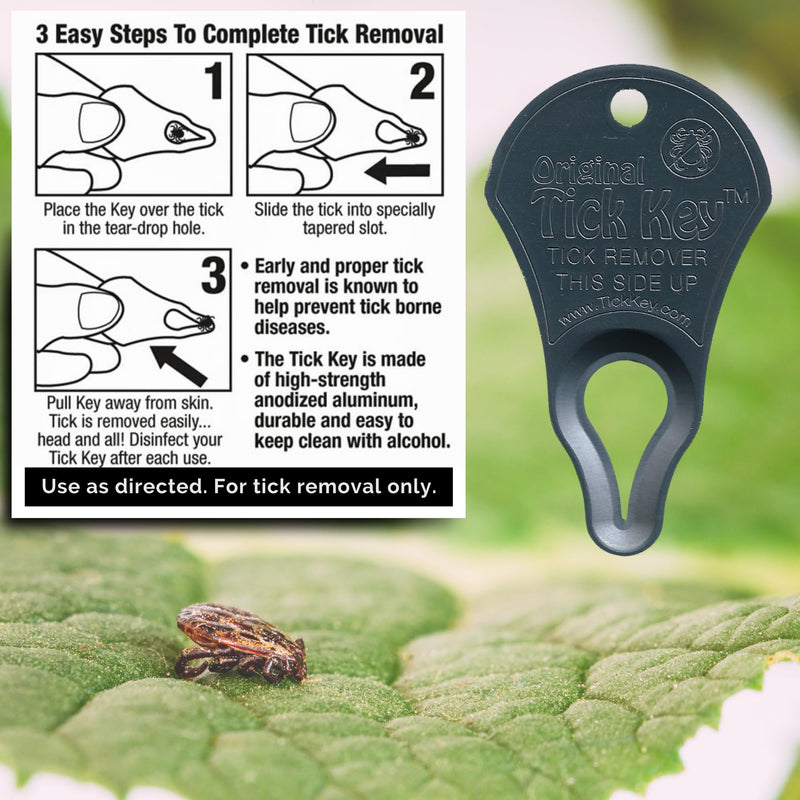 The Original Tick Key - Tick Detaching Device - Portable, Safe and Highly Effective Tick Detaching Tool (Assorted) Multi - PawsPlanet Australia