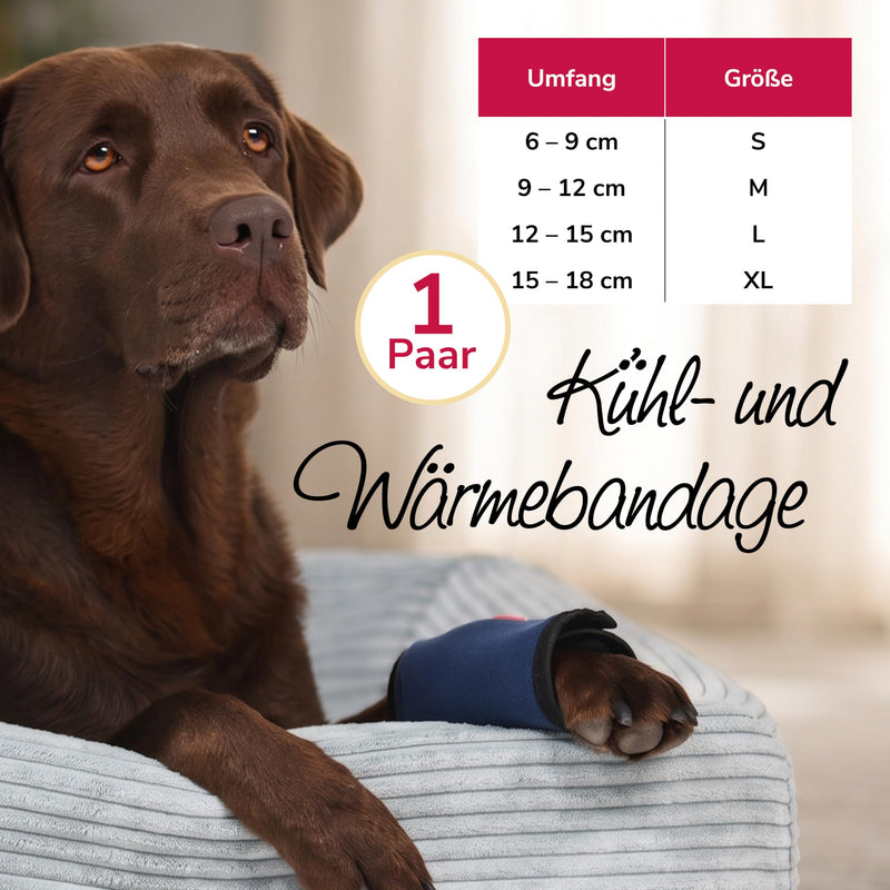 Cooling and Heat Bandage Size L for Dogs and Cats, 2-in-1 Therapy for Injuries and Osteoarthritis