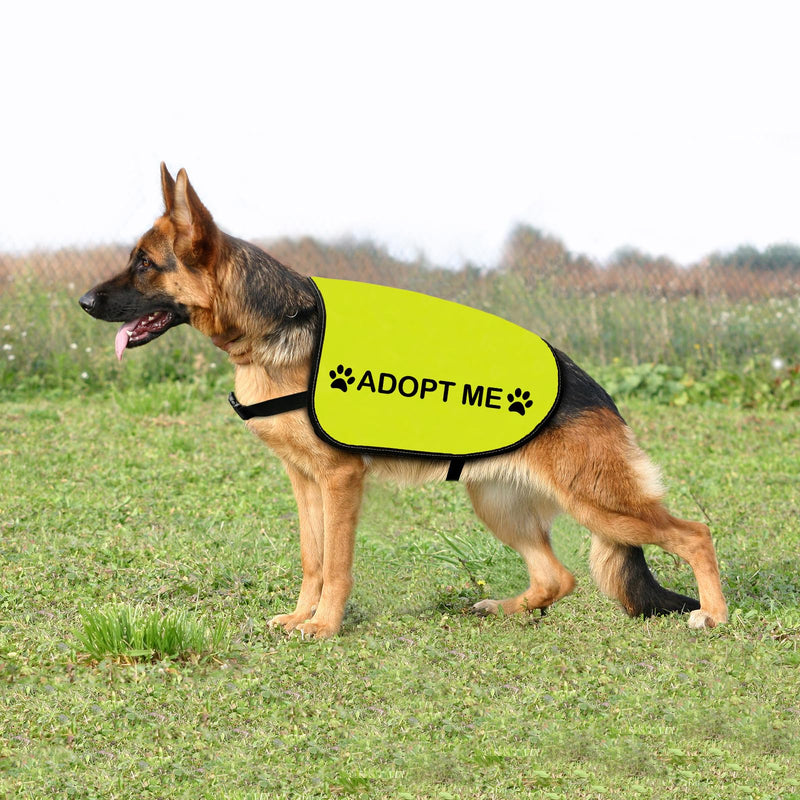 Rescue Dog Jacket Vest Adopt Me Dog Vest Foster Dog Slogan Vest (Adopt Me-Large) Adopt Me-Large - PawsPlanet Australia