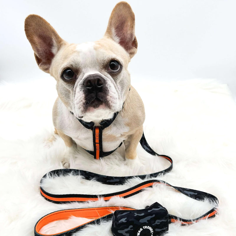 Adjustable Dog Leash | Camo Chic (SH?k) Orange | M Camo Chic | Orange Medium - PawsPlanet Australia