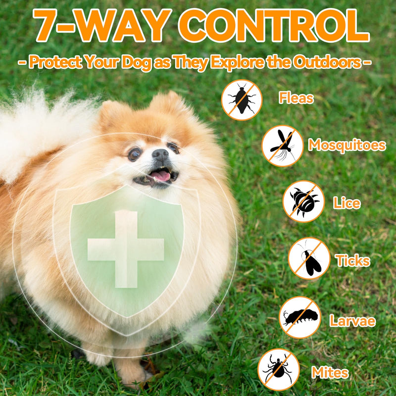 Dual Flavor Flea Chews Bundle - 200 Each - Natural Flea & Tick Prevention for Dogs - Oral Flea Support for All Breeds - Chicken & Duck Flavor Combo