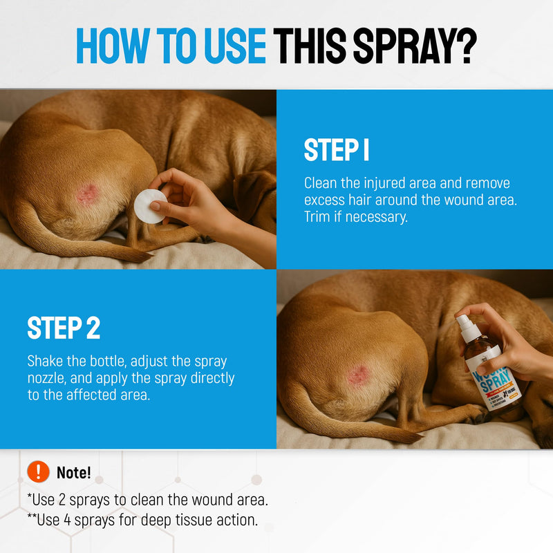 Hot Spot Treatment for Dogs – Silver Wound Spray Helps with Irritation, Bites, Burns, Rashes, Itch, Scratching – Better Use with a Dog Cone – 4 oz - PawsPlanet Australia