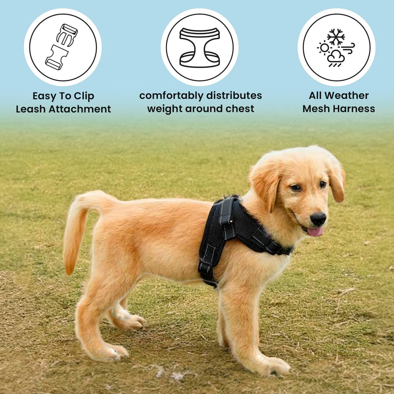 No Pull Reflective Adjustable Dog Harness with Handle- Comfortable Soft All Weather Mesh, Easy On Puppy Harness for Small Medium and Large Dogs (Black) Small Black - PawsPlanet Australia