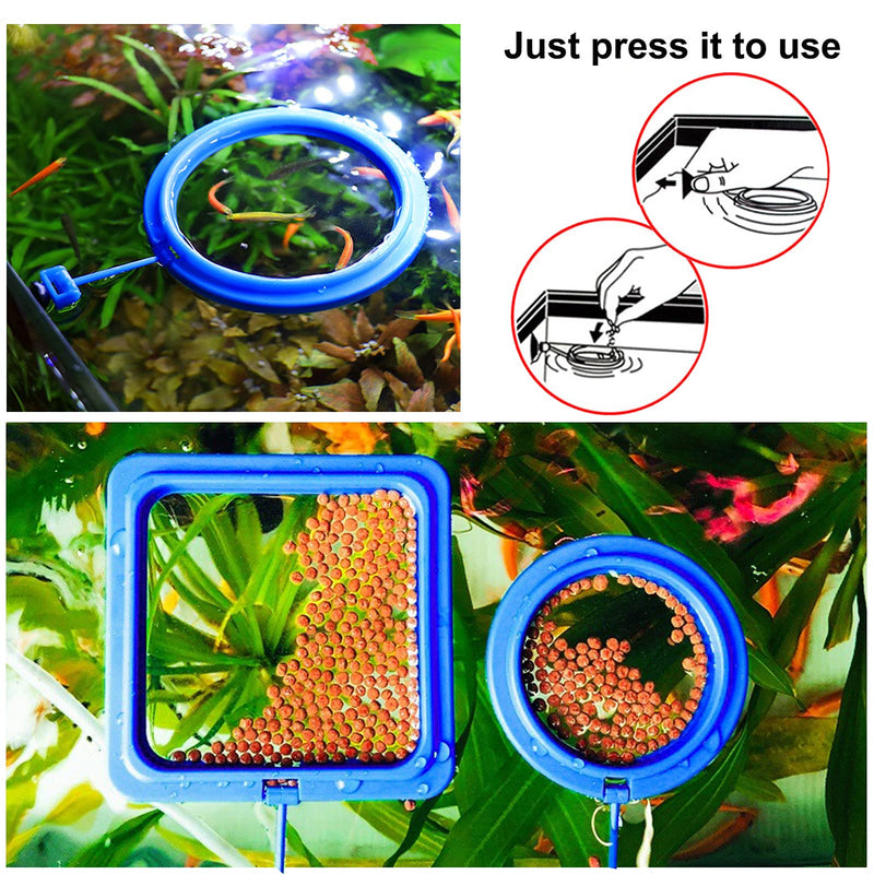 Fish Feeding Ring, 2 Pieces Fish Feeder Aquarium Fish Turtle Tank Accessories Food Feeder Circle for Guppy, Bettas, Goldfish, Turtle (Blue) Blue