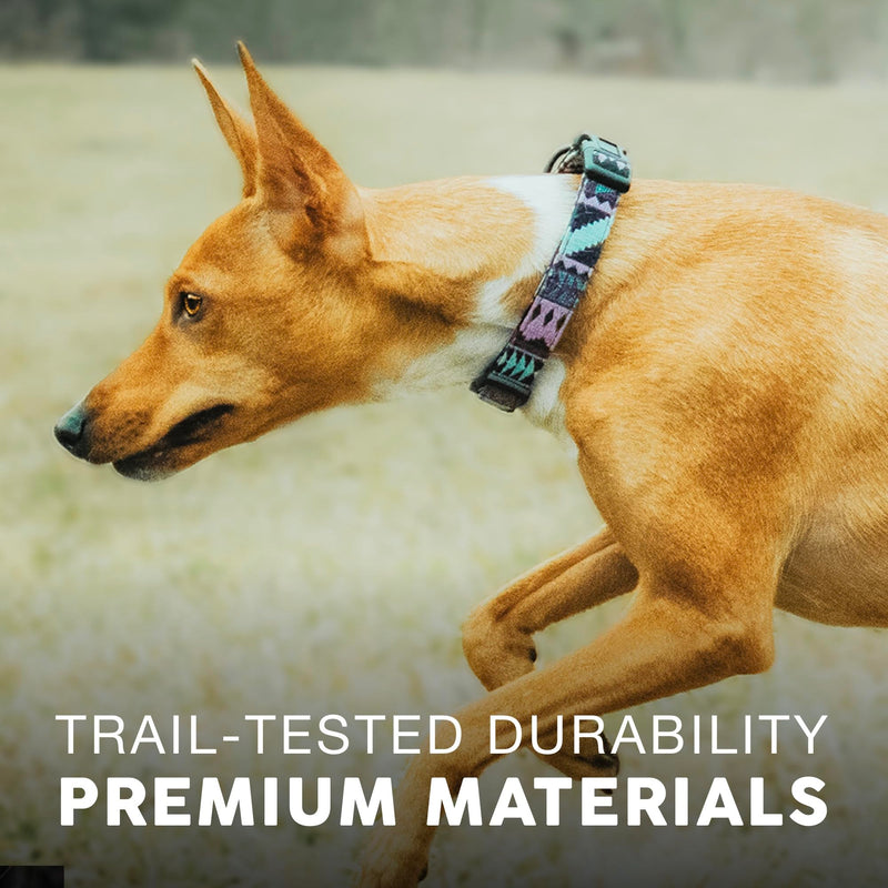 Embark Adventure Medium Dog Collar – Stylish, Durable Nylon, Adjustable & Comfortable, Strong Buckle Aztec