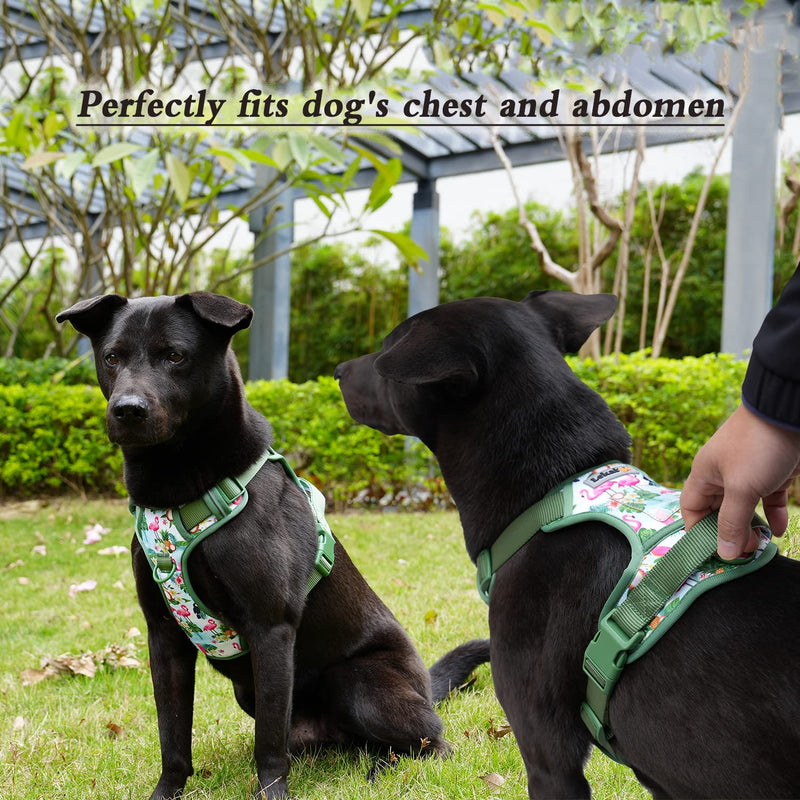 Dog Harness Collar 5ft Leash Poop Bag Holder Set, Reflective Adjustable No-Pull Dog Vest Harness with Safety Lock Easy Control Handle, for Small Medium Large Dogs 4pcs-L-Green L (Neck:16.1"-23.2"; Chest:20.5"-36.6") Green - PawsPlanet Australia
