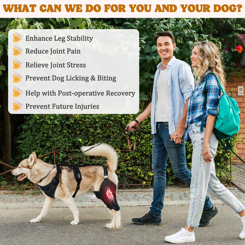 Dog Knee Braces for Back Leg, Adjustable Dog Leg Braces for Torn ACL Hind Leg with Metal Stabilizers, Better Recovery Knee Brace for Rear Leg Cruciate Ligament Injuries & Hip Dysplasia, XL
