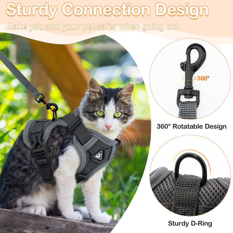 Cat Harness and Leash for Walking & Cat Recovery Suit for Abdominal Wounds or Skin Diseases - PawsPlanet Australia