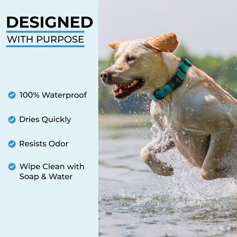 Light Duty Rivet Biothane Dog Collar - Teal, Waterproof, Odor Proof, Lightweight, Made in the USA, Curved Quick Release Plastic Buckle, Large 17-20" Neck W 1" x L 17-20" - PawsPlanet Australia