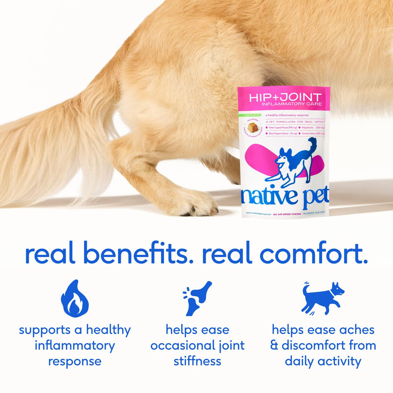 Native Pet Inflammatory Care - Pain Relief for Dogs - Green-Lipped Mussel, Turmeric & Collagen for Dogs - Hip and Joint Supplement Supports Healthy Inflammatory Response & Joint Comfort - 60 Chews 60 Count - PawsPlanet Australia
