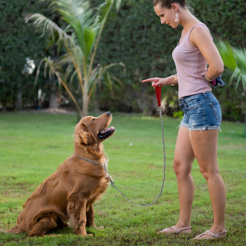 Chain Dog Leash with Padded Handle, Durable Chew Proof for Medium and Large Dogs (4 ft x 3.0 mm) 4FT*3.0mm(medium dogs) Red - PawsPlanet Australia