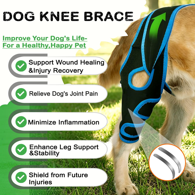 Dog Knee Brace for Torn ACL/CCL Hind Leg Reflective Front Back Leg Extra Support Dog Joint Protection Arthritis Pain Relief, Injury, Adjustable Vet-Recommended Recovery Brace for Dogs M Blue