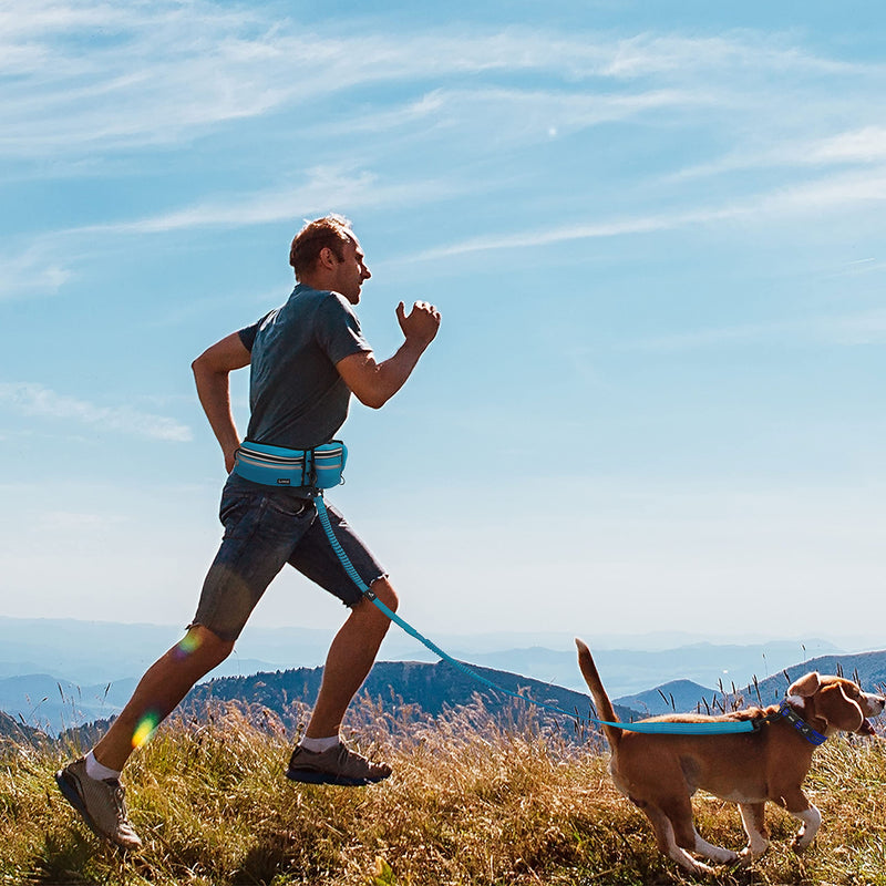 Kruz Hands Free Dog Leash (Waist 26”- 48”, Leash- 1”x 5ft) Premium Waist Belt for Walking, Running & Hike Bungee with Dual Handles, Adjustable Fit, Reflective Safety Design for Large Dogs (Turquoise) Turquoise - PawsPlanet Australia
