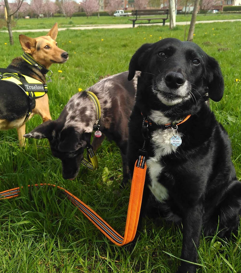TRUE LOVE Reflective Dog Leash Puppy Walking Lead, Padded Pet Chain Rope，Length 200cm Truelove TLL2111(Orange,L) L Orange - PawsPlanet Australia