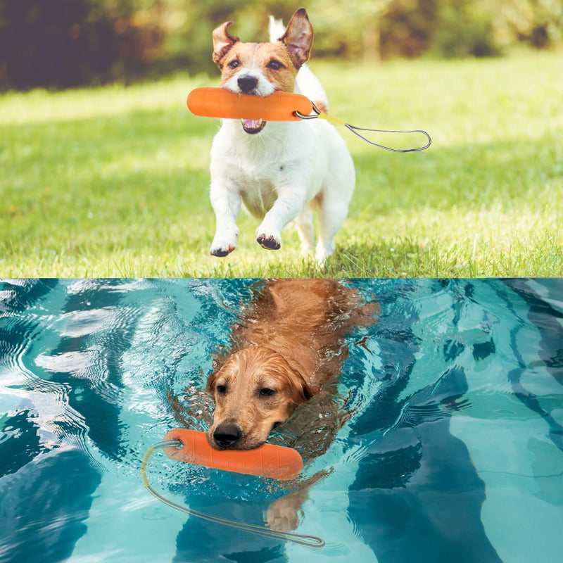 SCENEREAL Floating Dog Water Pool Toys for Small Medium Large Dogs, Tough Dog Interactive Toys, 2 Pack Fetch Bumpers with Durable Rope for Summer Training Retrieving Chasing Teething Outdoor - PawsPlanet Australia