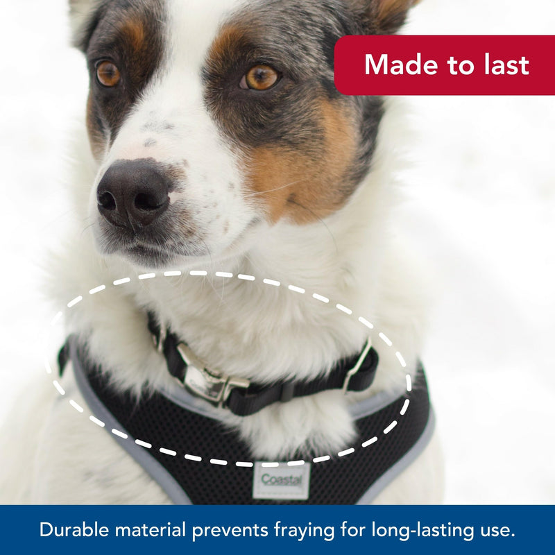 Coastal Pet Adjustable Dog Collar with Metal Buckle - Comfortable Fade-Resistant Dog Collar with Snap Lock - Perfect for Walking & Tie Outs - Blue Lagoon - 5/8" x 10"-14" 5/8" x 10" - 14" (Pack of 1)