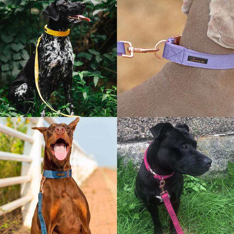 ARING PET Velvet Dog Leash & Collar Set, Handmade Strong White Velvet Wedding Leash for Small to Large Dogs M - PawsPlanet Australia