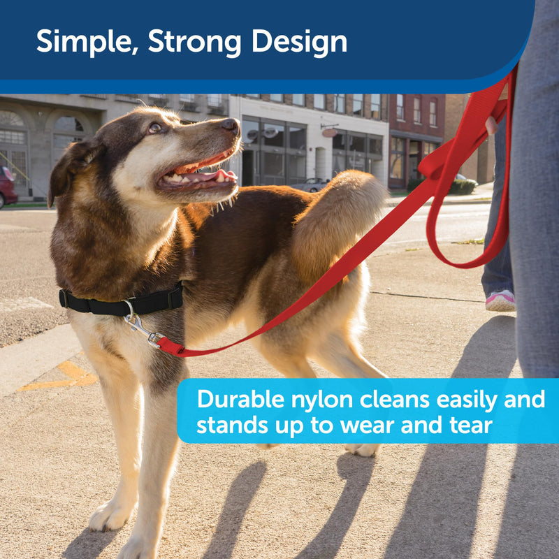 PetSafe Nylon Dog Leash – Strong, Durable, Traditional Style Leash with Easy to Use Bolt Snap for Small, Medium and Large Dogs – 3/8" x 6', Red - PawsPlanet Australia