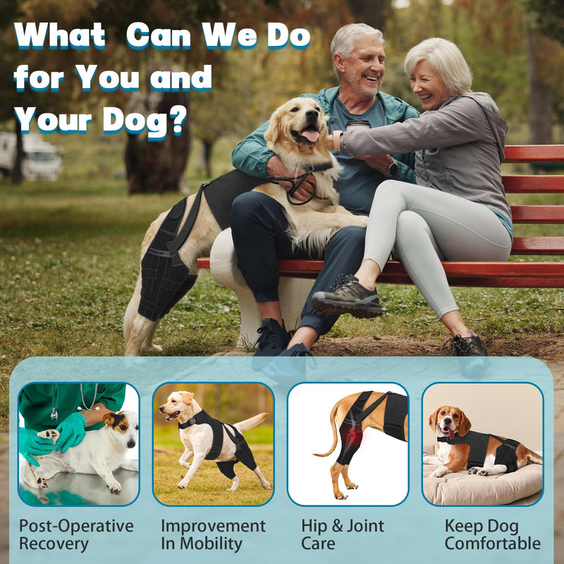 Dog Knee Brace for Torn Acl Hind Leg, Adjustable for Back Leg with 7 Stabilizers, Reduces Pain, Ligament Injuries & Luxating Patella for Small Medium Large Dogs M Black