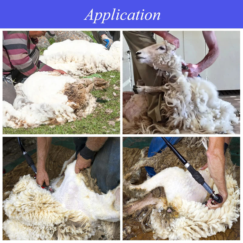 Sheep Shears Replacement Blades, Sheep Shear Clipper Blades, Detachable Blades for Professional Electric Cutter Wool Comb Sheep Clippers, for Grooming Goats Llamas Pet Animals - PawsPlanet Australia
