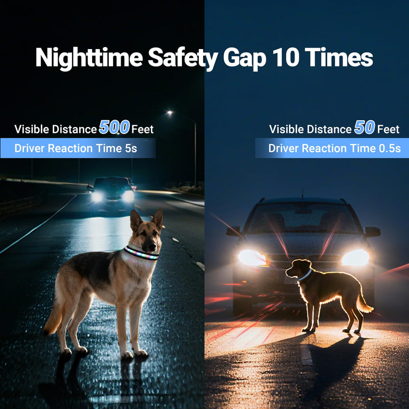 Light Up Dog Collar, USB Rechargeable, Waterproof LED Dog Collar with Remote Control, Adjustable Strap, Suitable for Small, Medium, and Large Dogs (Small) - PawsPlanet Australia