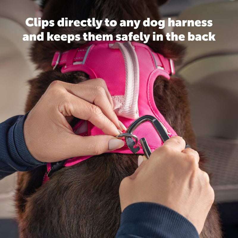 PetSafe Safety Seatbelt Tether – Adjustable Dog Seat Belt for Car – Works with Any Harness – Carabiner Clip, Black – 1 Seat Belt Tether - PawsPlanet Australia