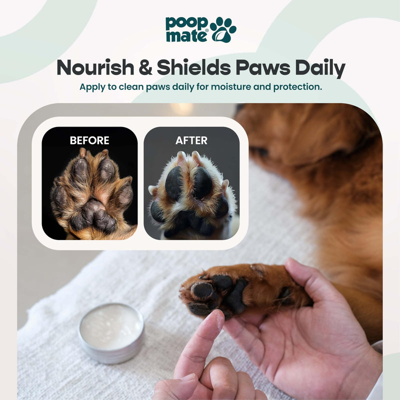 Dog Paw Balm & Nose Balm – Natural, Lick-Safe Paw Care for Dogs – Moisturizing Snout Cream with Coconut Oil, Shea Butter & Vitamin E – Protects Cracked Pads & Dry Noses – 2 oz - PawsPlanet Australia