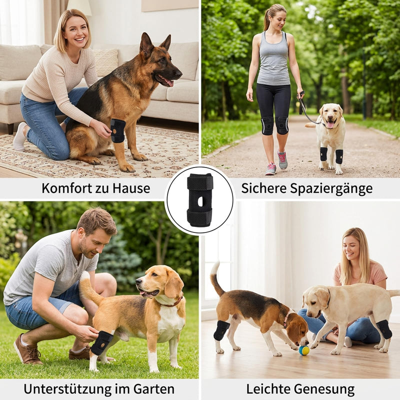 Knee brace for dog hind leg, lick protection for dog hind leg for joint and bone protection, support during arthritis and rehabilitation, dog hind leg brace in size M 18x13x1.5 cm