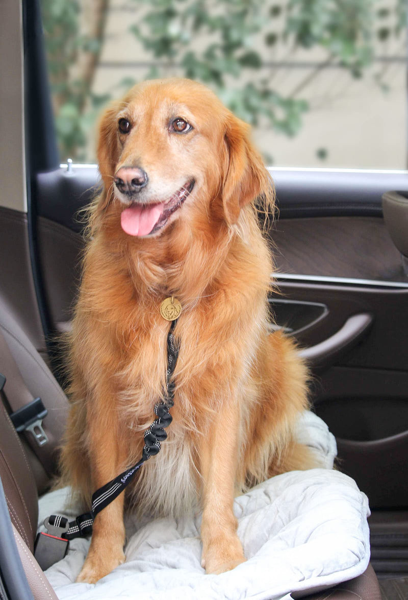 2 Pack Dog Seat Belt Adjustable Dog Car Seatbelts for Vehicle Nylon Pet Safety Seat Belt with Elastic Bungee Buffer Reflective & Durable Car Harness for Dogs Black + Black - PawsPlanet Australia