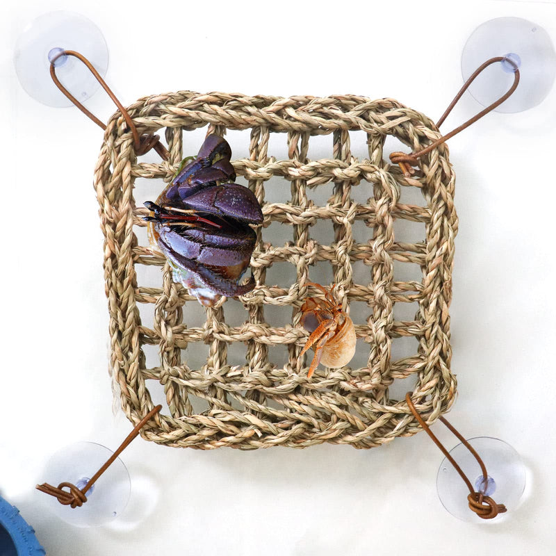 Hermit Crab Climbing Toys, Seagrass Mat Lizard Hammock with Suction Cup, Natural Seagrass Woven Net, Tank Accessories for Small Reptiles Hermit Crab Lizard Hamster Guinea Pig Rats 7.1 x 7.1 Inches Square