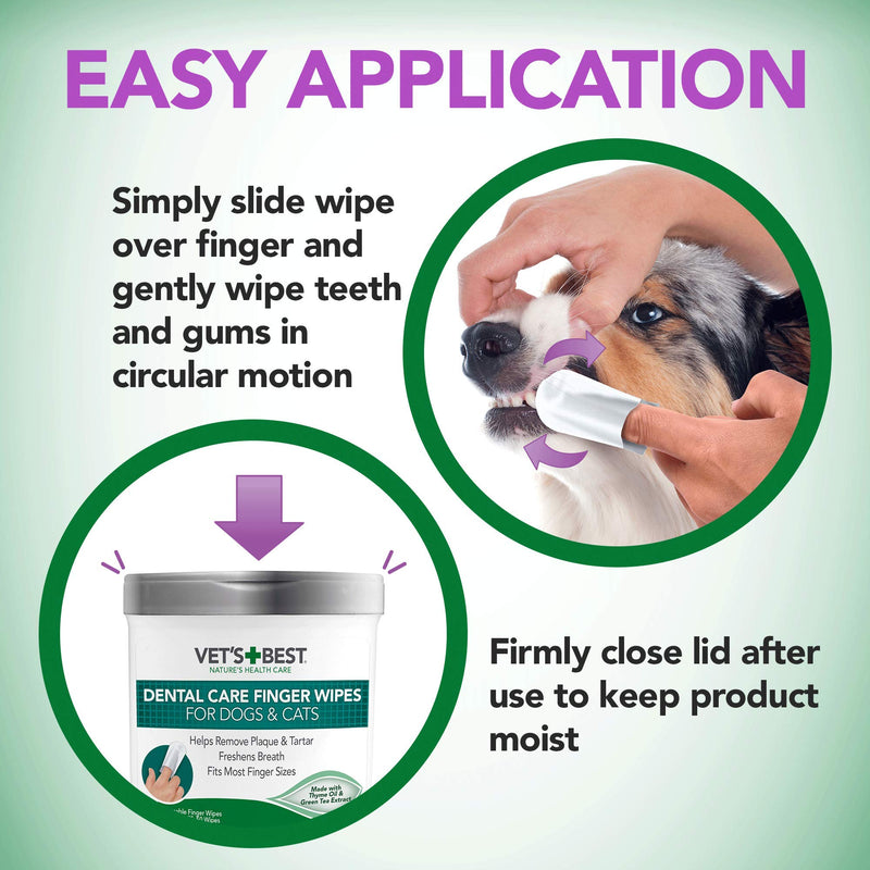 Bundle of Vet’s Best Dog Toothbrush and Enzymatic Toothpaste Kit + Vet's Best Dental Care Dog & Cat Finger Wipes 50 Count - Reduces Plaque & Freshens Breath - Teeth Cleaning Finger Wipes