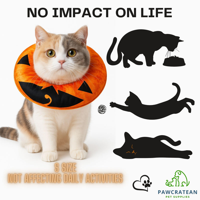 Pumpkin Style Soft Recovery Collar for Cats and Puppies - Comfortable & Adjustable | Washable (Orange Pumpkin, Medium) Orange Pumpkin