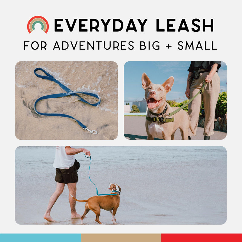 Wildebeest Funston Waterproof Dog Leash - Heavy Duty 4ft Long Leash for Small, Medium and Large Dogs - 1000D Nylon, Scratch & Stink-Resistant & Pill-Free - Nylon Wrap Handle (3/4" Wide, 4 ft Length) Navy - PawsPlanet Australia