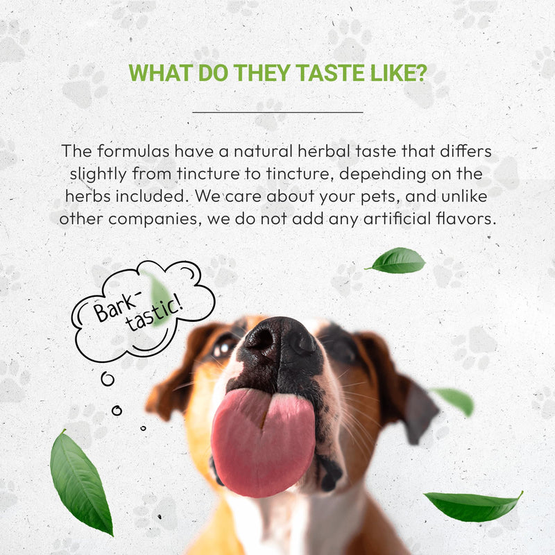Wolf's Joints | Natural Herbal Dietary Supplement for Dogs | Healthy Joints Support in Dogs | Alcohol-Free Extract, Dandelion Root, Calendula, Chamomile, Lavender, Fennel 2 oz - PawsPlanet Australia