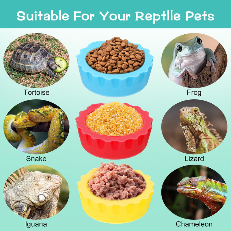 7 Pack Crested Gecko Food Dish Reusable Small Crested Gecko Food Cups Water Feeding Cup Bowl Colorful Silicone Reptile Feeding Cups for Tortoise, Small Pet and Crab - PawsPlanet Australia