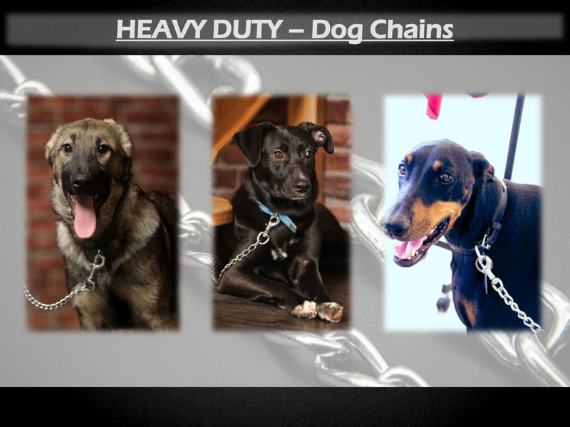 6mm Thick Heavy Duty DOG CHAIN Leads NYLON STRAP – Chew Proof Hook, Outdoor Camping Accessories, Leashes, Training Lead for Dogs – SHORT CHAIN for Large Dogs (Black, 500gm) Black 6mm