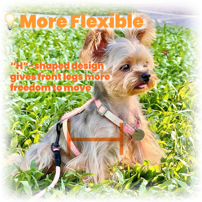 No Pull Dog Harness and Leash with AirTag Holder for Small/Teacup Cats & Dogs, Anti-Escape Design, Cooling & Light Weight Vest, Perfect for Summer, Arnés para Perro (Purple, XXS) Purple XXS (under 5 lbs) - PawsPlanet Australia