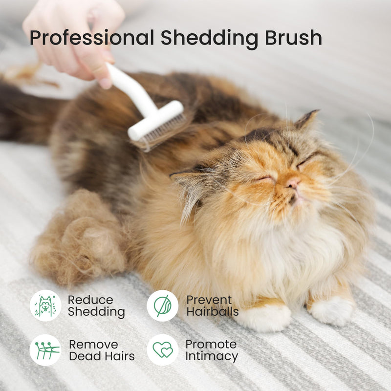 PawRake, Cat and Dog Brush for Shedding and Undercoat Dematting, Pet Grooming Tool for Medium to Long Hair Pets, Skin-Safe and Lightweight - PawsPlanet Australia